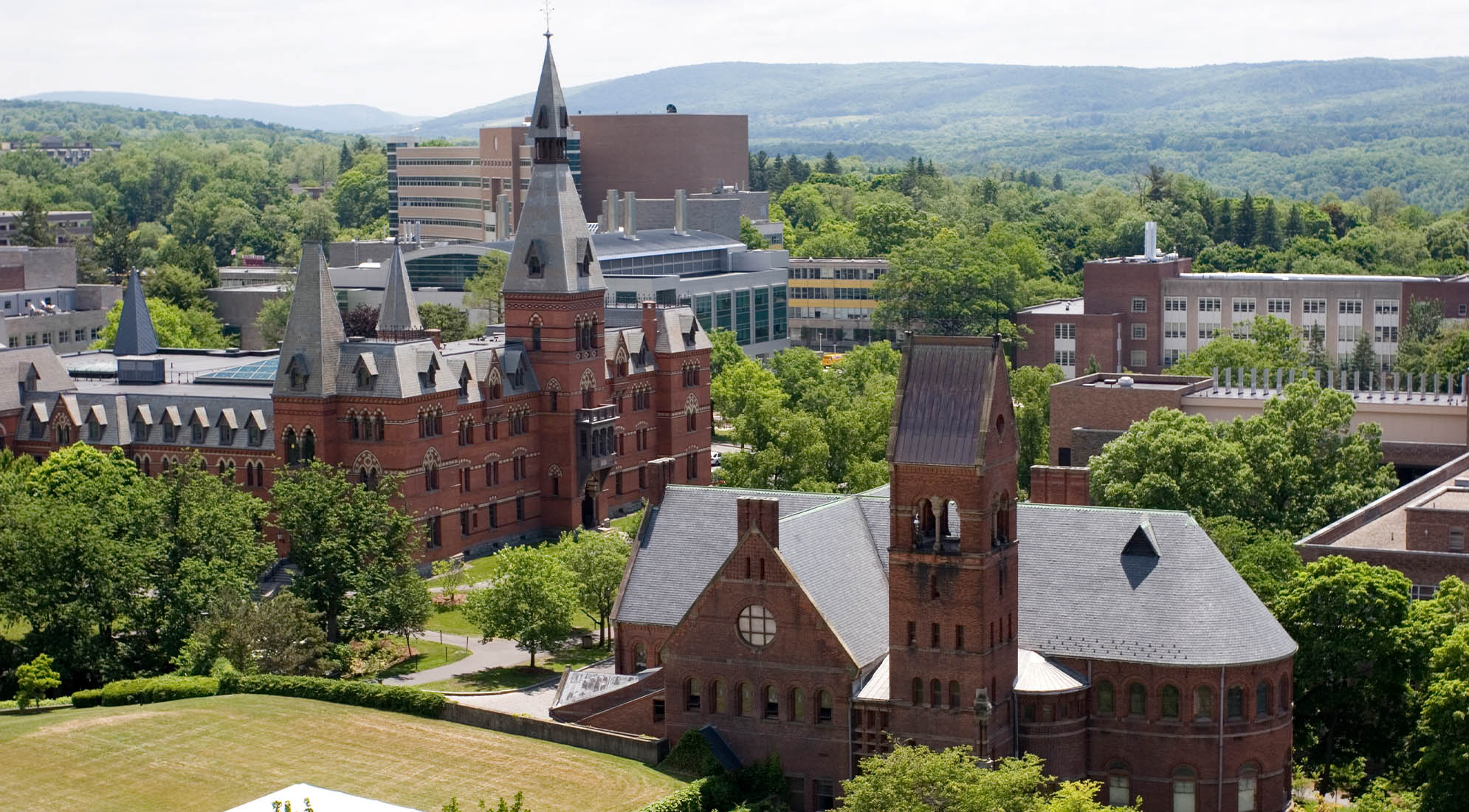 Universidad De Cornell Banner 